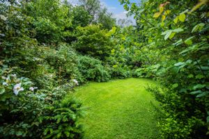 Photo 30- click for photo gallery